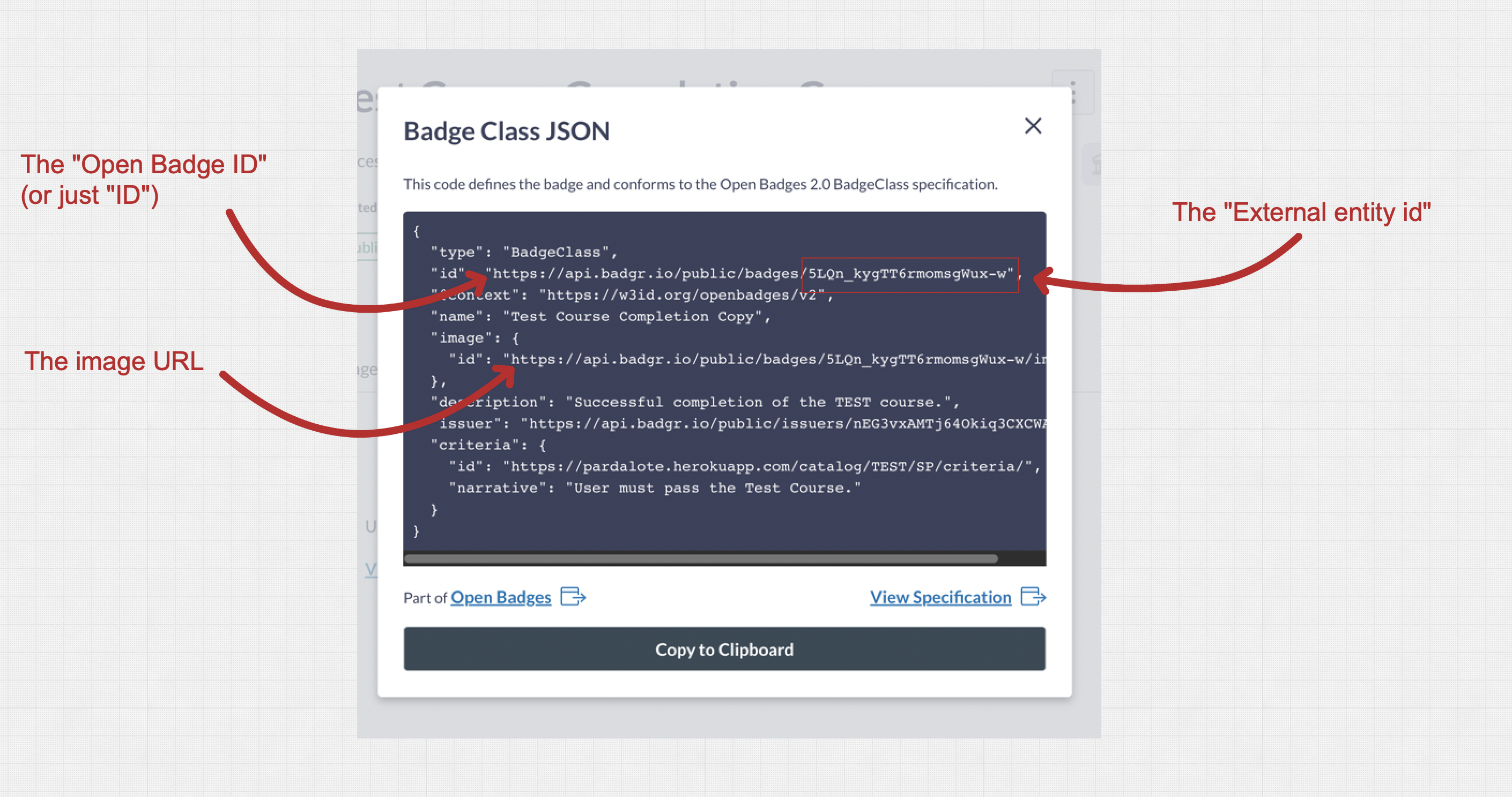 Badge class json info dialog screenshot